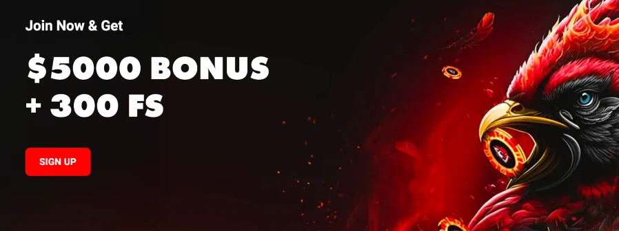 Rooster bet casino